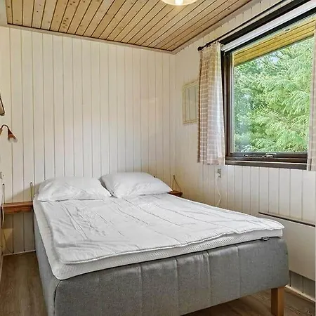 Bl1763-pandrup-skorr-karensvej-9 *